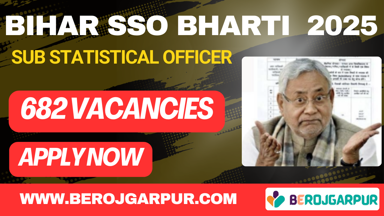 Bihar SSC SSO (Sub Statistical Officer) Recruitment 2025 BEROJGARPUR BSSC Sub Statistical Officer (SSO) 2025